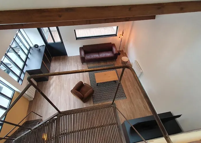 Factory نوجو سور سين